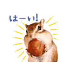 甘えんboyミカド（個別スタンプ：4）