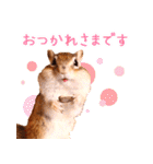 甘えんboyミカド（個別スタンプ：5）