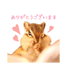 甘えんboyミカド（個別スタンプ：6）