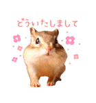 甘えんboyミカド（個別スタンプ：7）