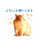 甘えんboyミカド（個別スタンプ：9）