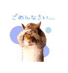 甘えんboyミカド（個別スタンプ：10）