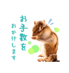 甘えんboyミカド（個別スタンプ：12）
