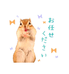 甘えんboyミカド（個別スタンプ：15）