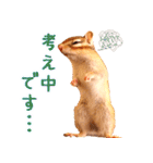甘えんboyミカド（個別スタンプ：16）