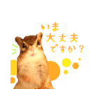 甘えんboyミカド（個別スタンプ：17）