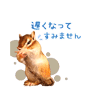甘えんboyミカド（個別スタンプ：19）
