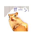 甘えんboyミカド（個別スタンプ：20）