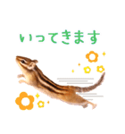 甘えんboyミカド（個別スタンプ：23）