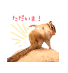 甘えんboyミカド（個別スタンプ：24）