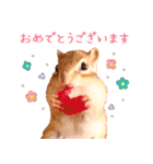 甘えんboyミカド（個別スタンプ：28）