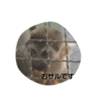 どうぶつたち(^^)（個別スタンプ：12）