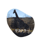 どうぶつたち(^^)（個別スタンプ：14）