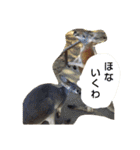 どうぶつたち(^^)（個別スタンプ：24）