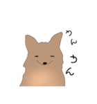 ポメキーてつろう イラストver.（個別スタンプ：9）