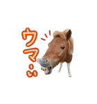 ハーモニィセンター⑤（個別スタンプ：2）