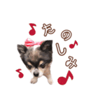 momo＆tsuku⓶（個別スタンプ：29）