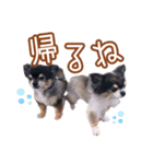 momo＆tsuku⓶（個別スタンプ：33）