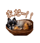 momo＆tsuku⓶（個別スタンプ：35）
