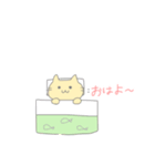 たまにふざけたくなるねこちゃん（個別スタンプ：1）