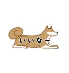 ひとこと犬1（個別スタンプ：9）