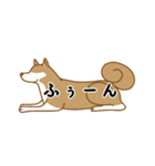 ひとこと犬1（個別スタンプ：11）