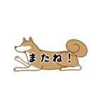 ひとこと犬1（個別スタンプ：31）