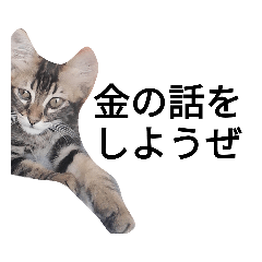 [LINEスタンプ] ジローがもの申す
