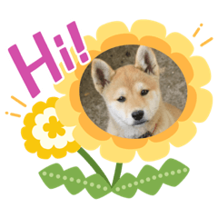 [LINEスタンプ] dog  face  the  REON 2
