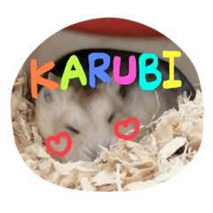 [LINEスタンプ] かるびのスタンプ♡