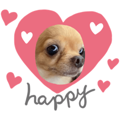 [LINEスタンプ] ひめ チワワ