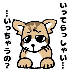 [LINEスタンプ] スナネコさん2