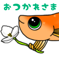 [LINEスタンプ] ヒメダカのヒメちゃん