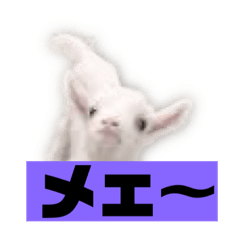 [LINEスタンプ] 文章2