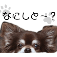 [LINEスタンプ] 木下家の天使 2