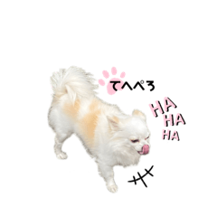 [LINEスタンプ] それいけBanff Part1