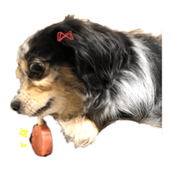 [LINEスタンプ] 可愛いこた♡
