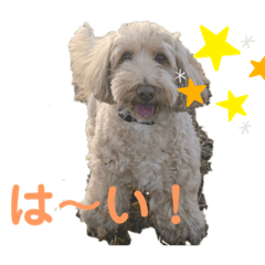[LINEスタンプ] まつのすたんぷ 2