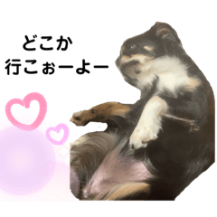 [LINEスタンプ] らいむの日常3