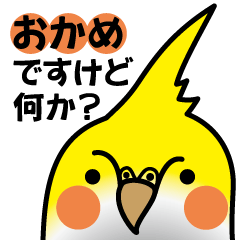 [LINEスタンプ] おかめいんこですけど何か？の画像（メイン）