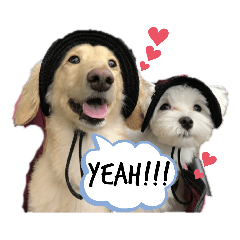 [LINEスタンプ] 愛くるしいものたち