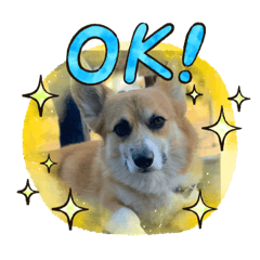 [LINEスタンプ] とらのすけとはなまる
