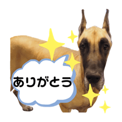 [LINEスタンプ] グレートデン①