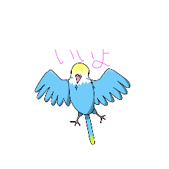 [LINEスタンプ] 家のインコたち