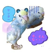 [LINEスタンプ] 藤君＆雫ちゃん