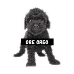 [LINEスタンプ] ORE 俺男