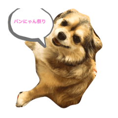 [LINEスタンプ] バンとよし。