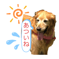[LINEスタンプ] ももの気持ちのおすそ分け