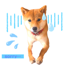 [LINEスタンプ] 豆柴なつおちゃん1