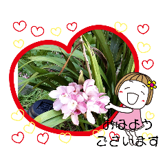 [LINEスタンプ] みーきょスタンプNo.1